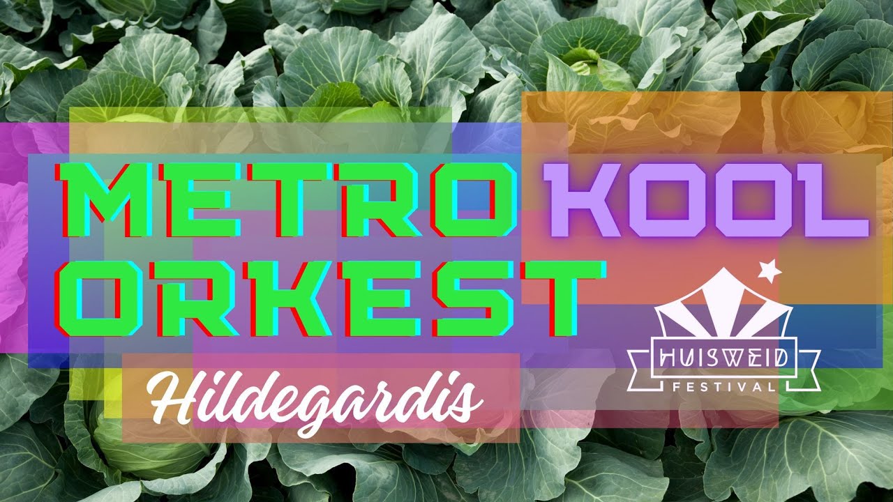 Optreden van Metrokoolorkest Hildegardis op Huisweid 2024! 🌟🎺🎤