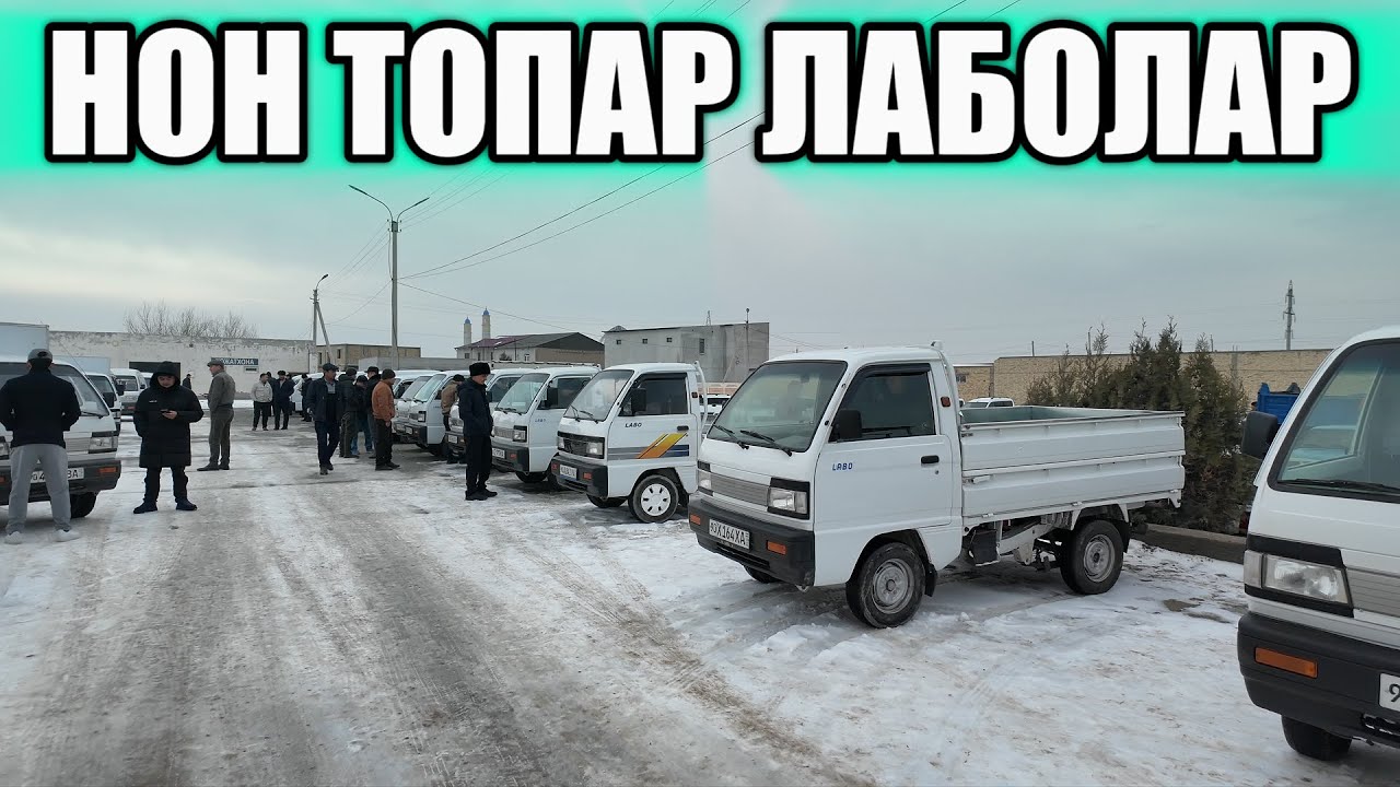 БОЗОРДАГИ ЛАБОЛАР НАРХЛАРИ🔥 8-Февраль Хоразм Машина Бозори