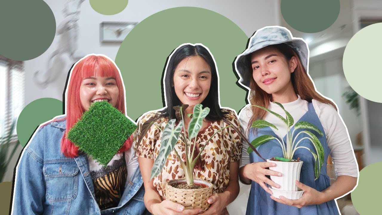 เมื่อ BewgoBowgin บุกบ้าน Fah Sarika อะไรจะเกิดขึ้น!? (กับฟ้า) 💚😅 l Bew Varaporn