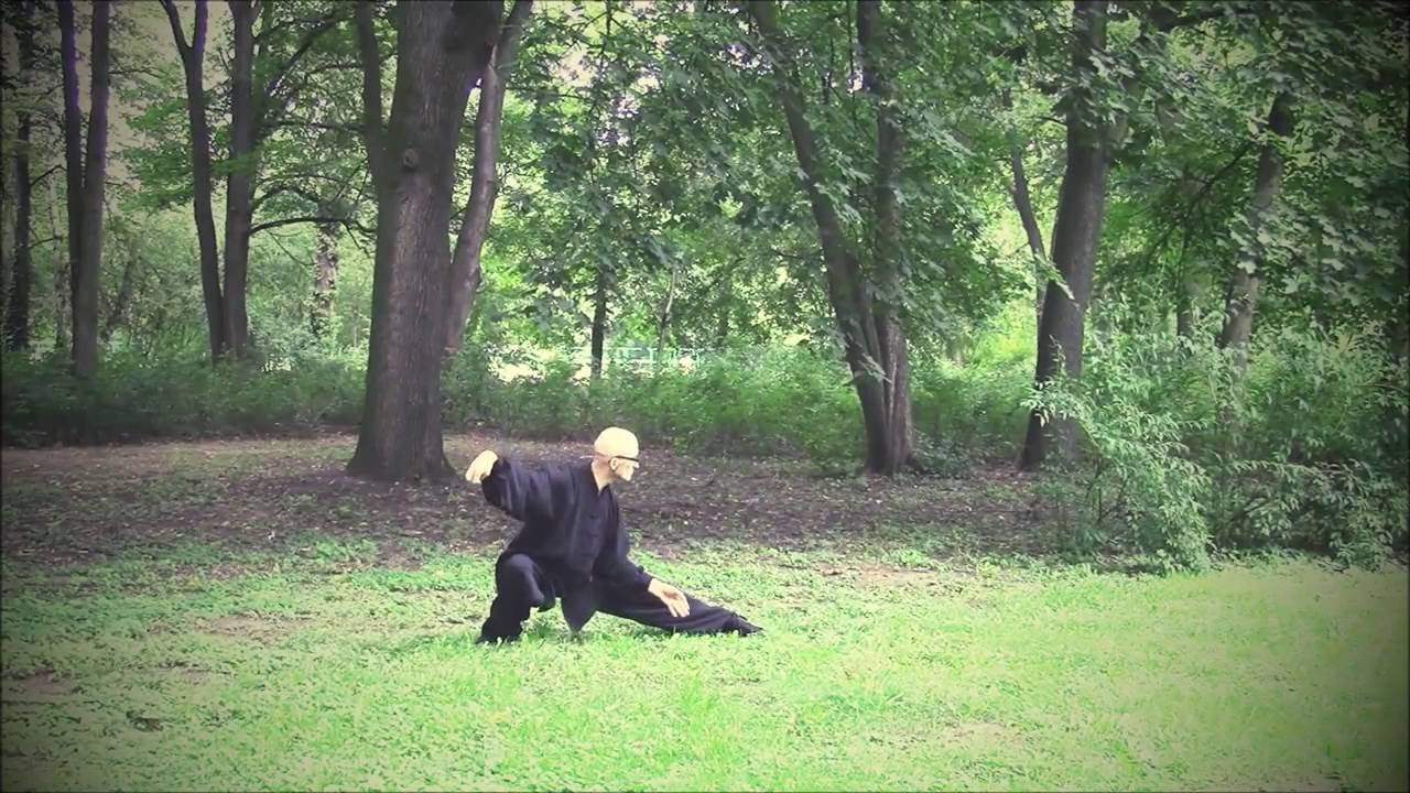 III część formy TAI CHI CHUAN - materiał szkoleniowy