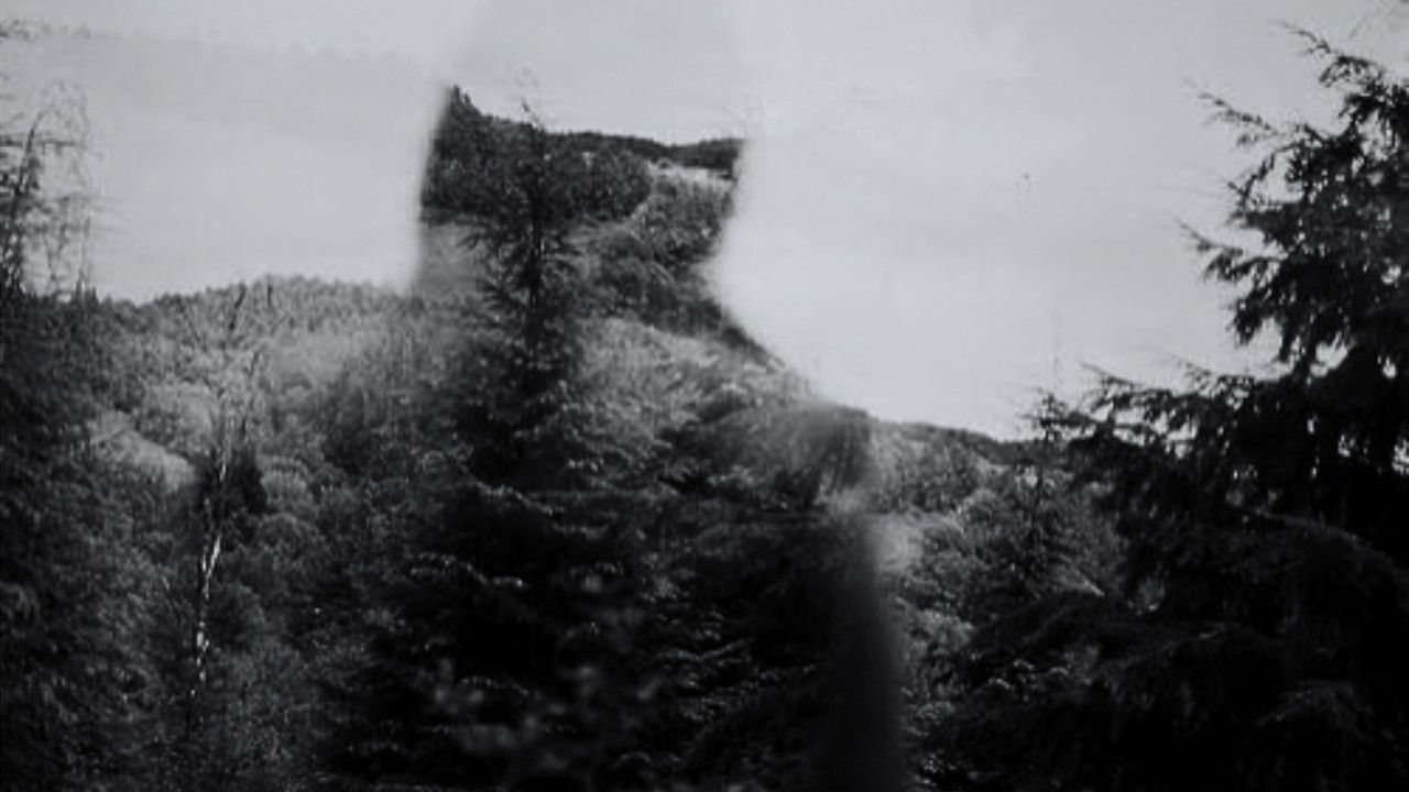 𝘵𝘩𝘦 𝘴𝘬𝘺 𝘪𝘴 𝘴𝘰 𝘣𝘭𝘶𝘦