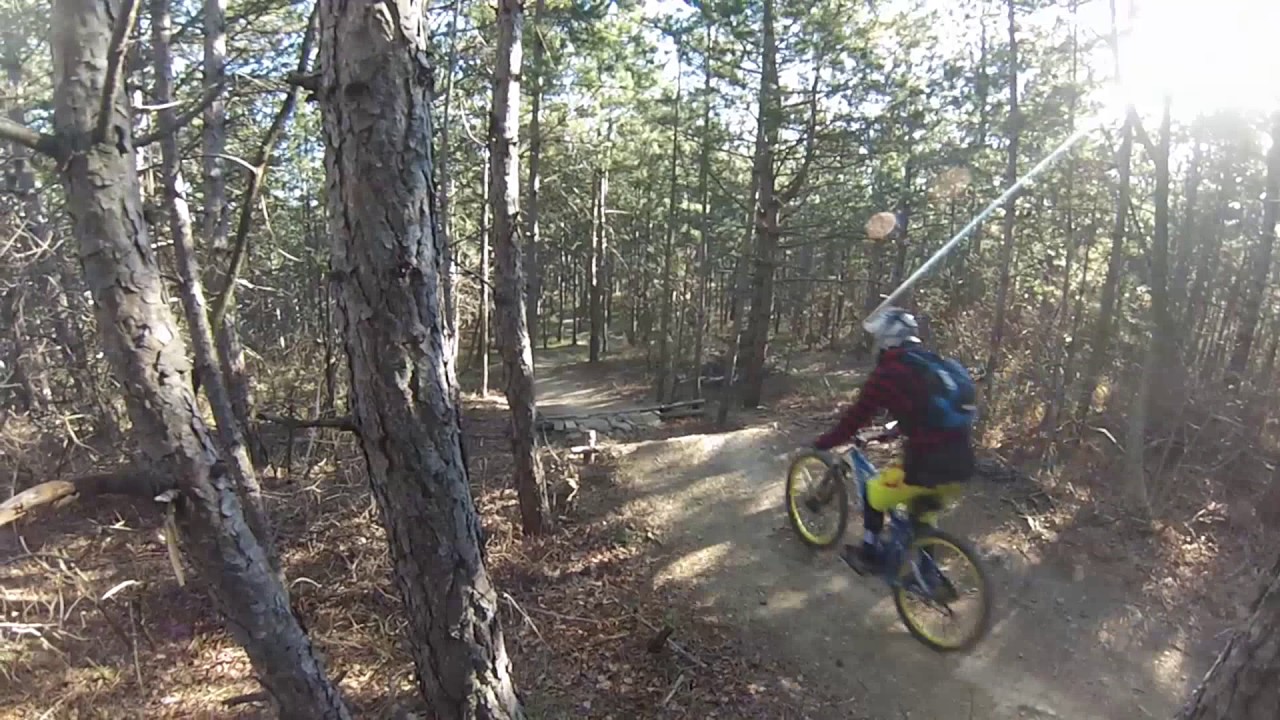 Cazzeggio freeride
