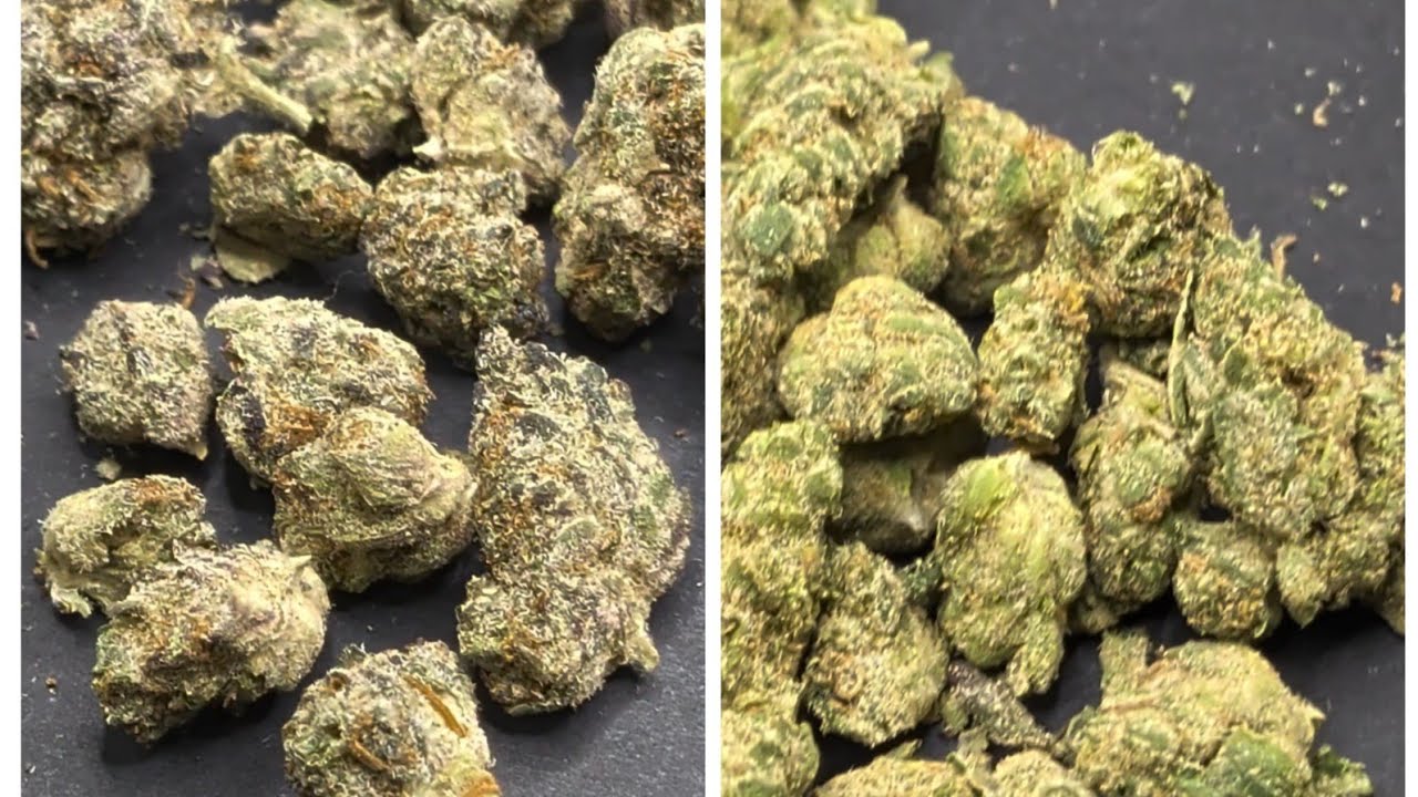Citrus Smoothie vs. Blueberry Pancakes - Revelry Hemp Indoor Smalls THCA Flower