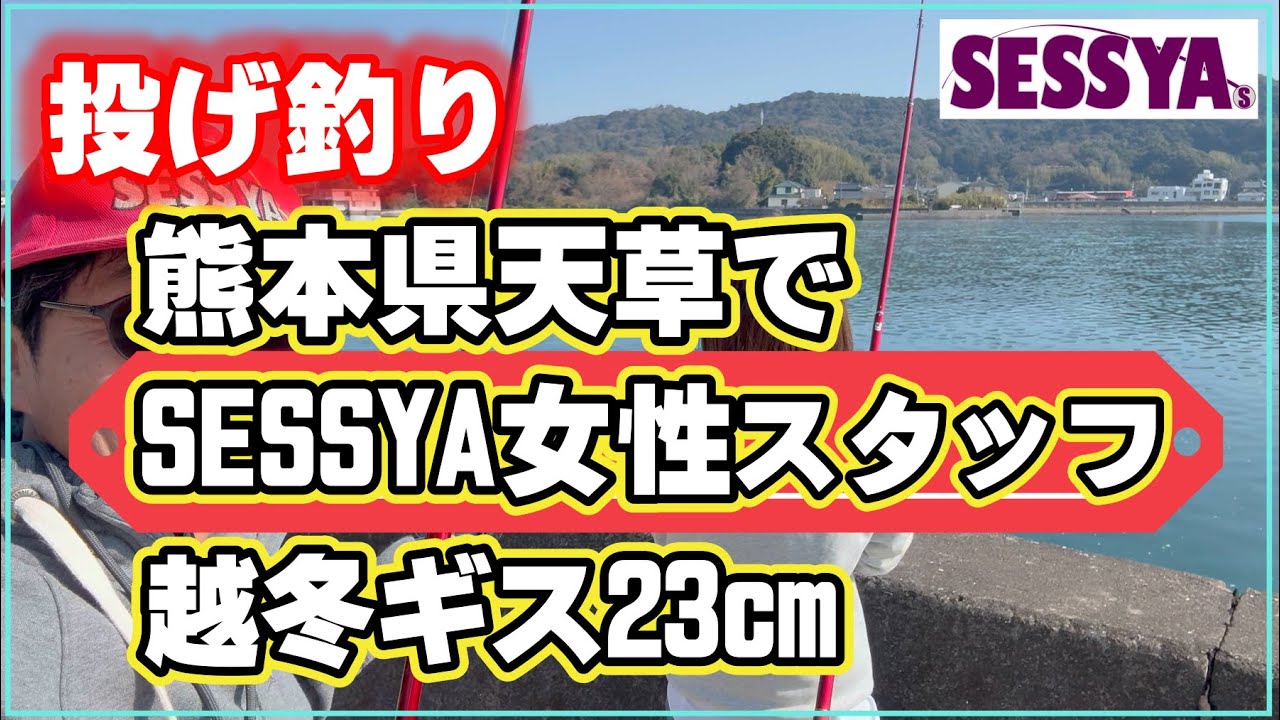 【投げ釣り】熊本県天草で　SESSYA女性スタッフ　越冬ギス23cm