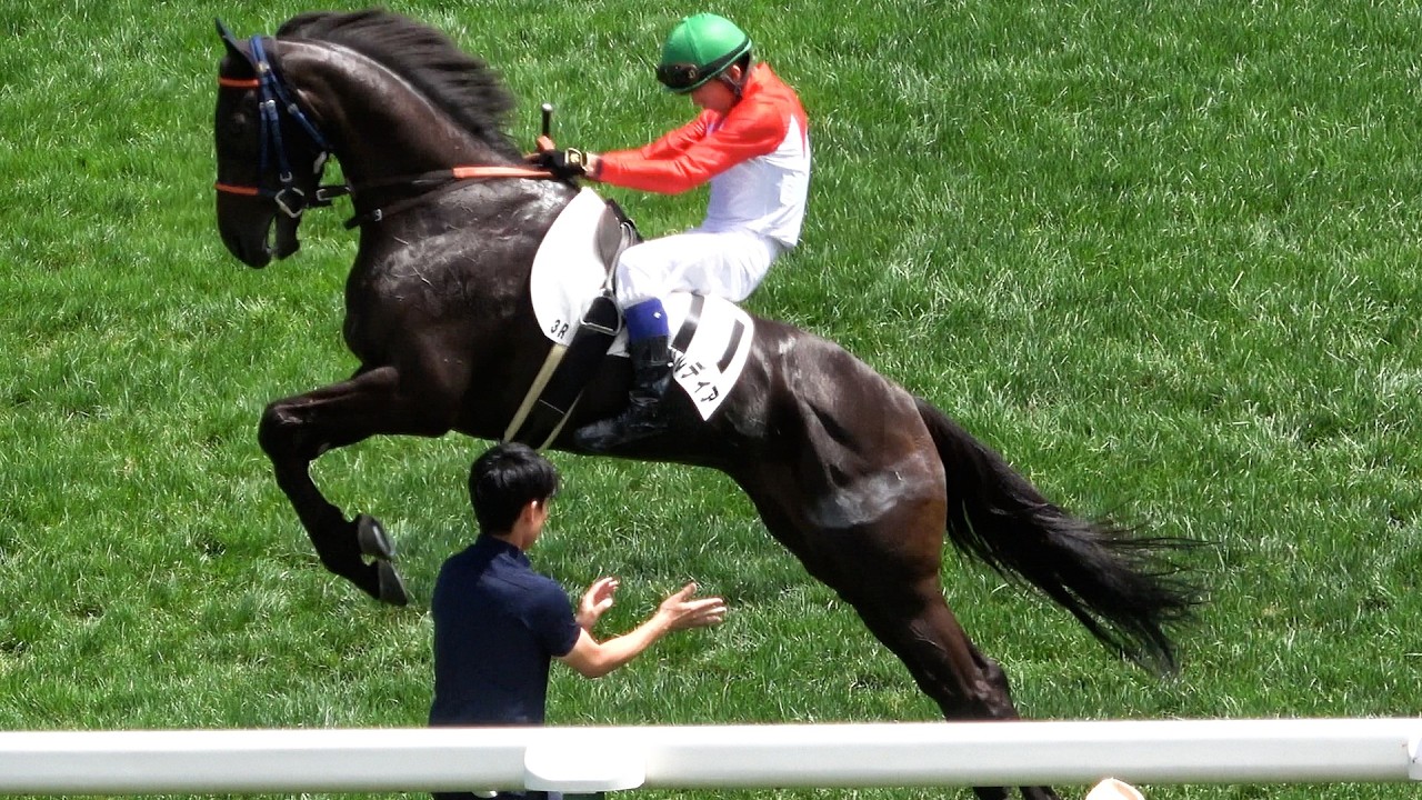 【競馬ハプニング】返し馬で⑪レオンバルディア 騎手を乗せるとジャンプしながら【暴走】‼ 止まらず‼ 現地映像
