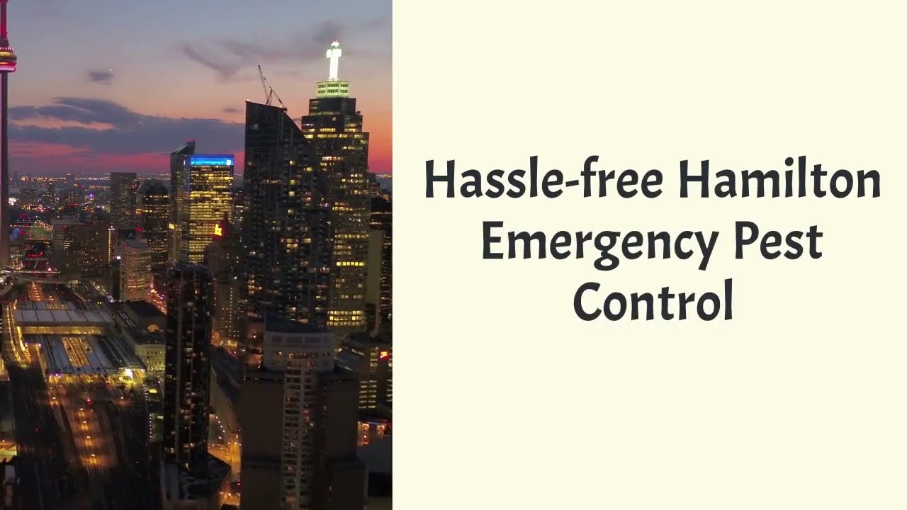 Pest Control Service- Hamilton Emergency Pest Control- (365) 602-8405