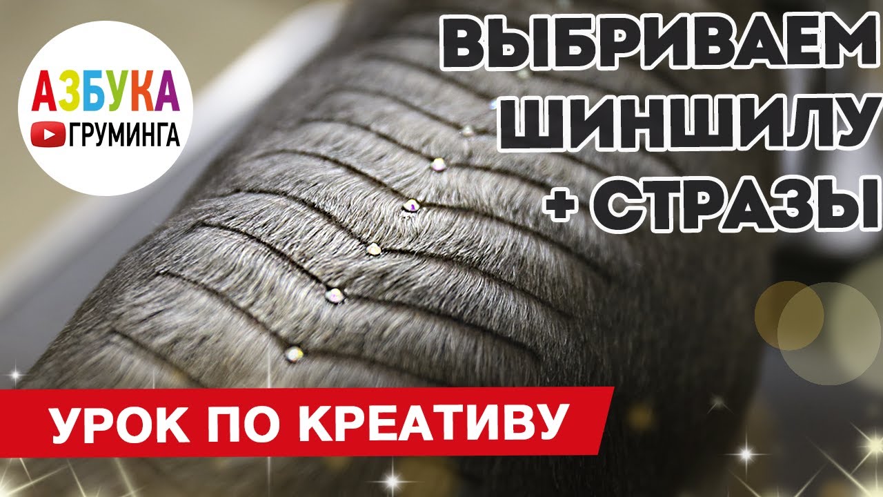 Креативный груминг в стрижке йорка - выбривание узора 