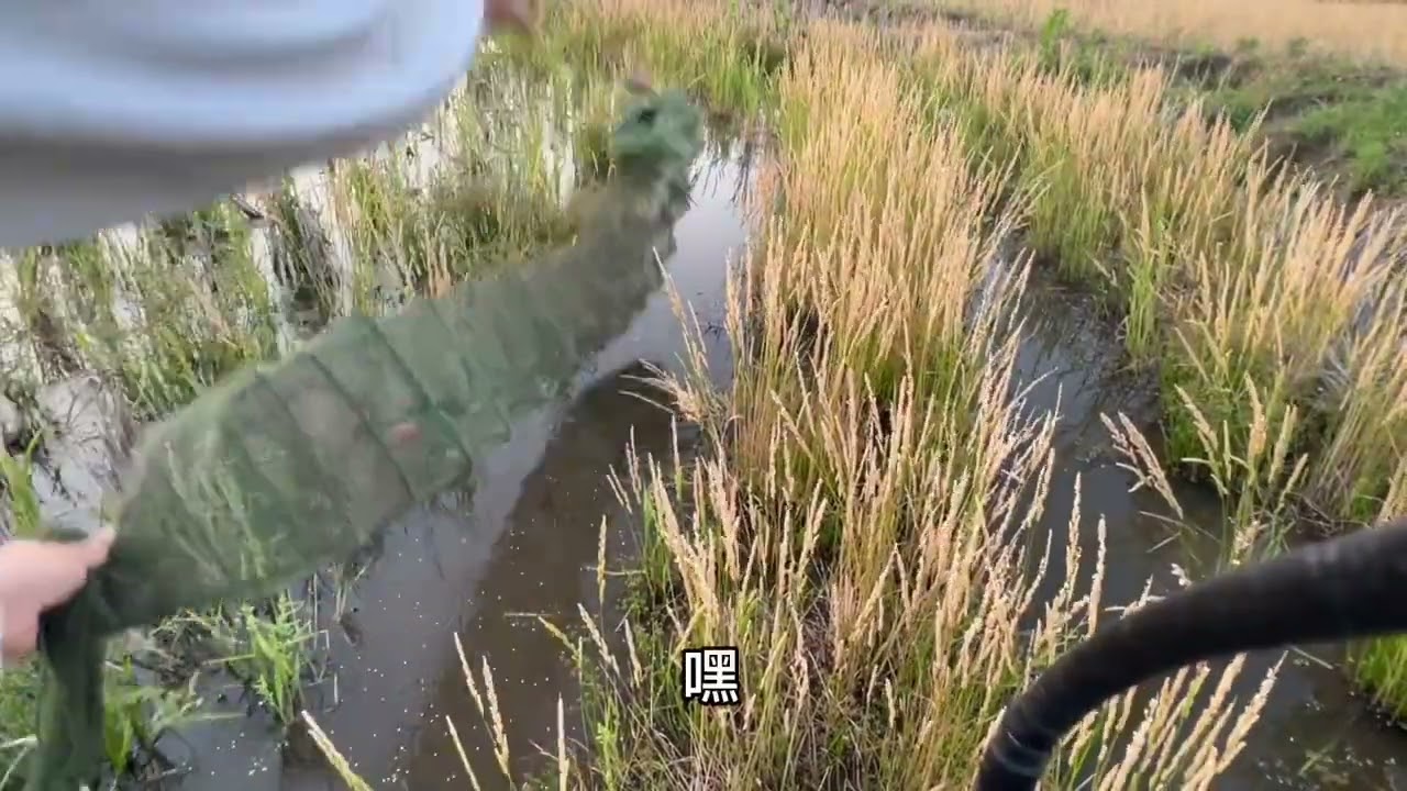 本以为是一个人出行 最后大咪的出现 让我瞬间破防&hellip;&hellip;