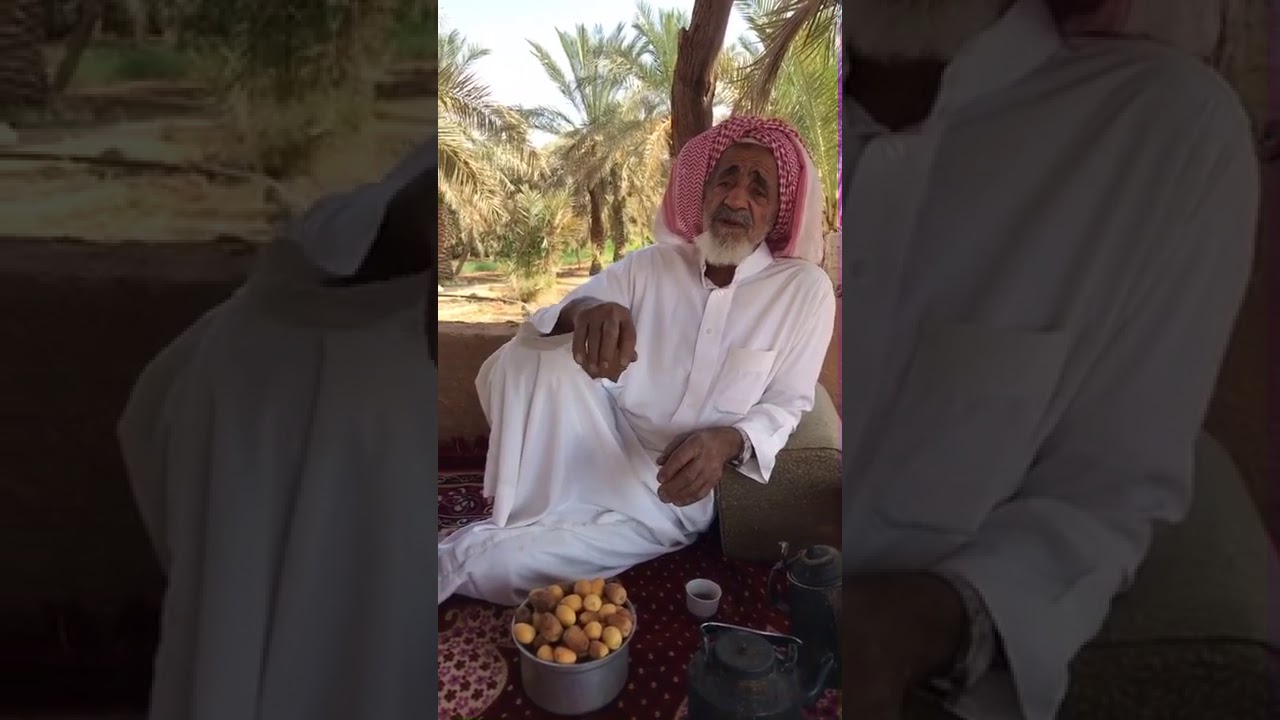 ذيب ياكل طفلة
