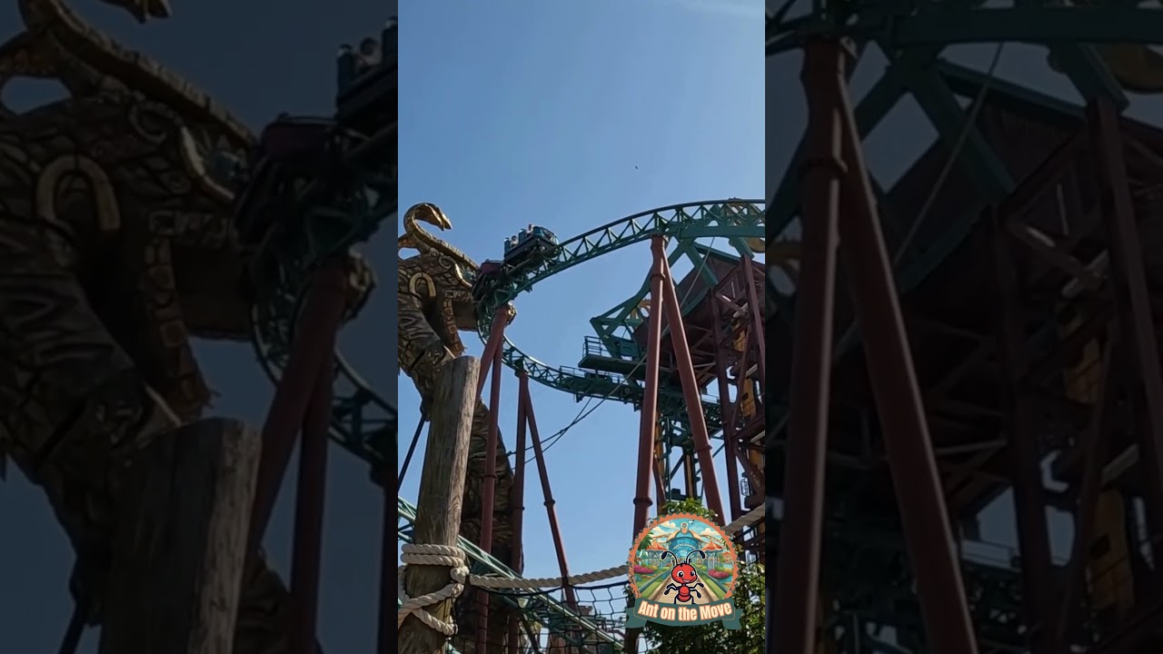 Cobra’s Curse Spinning Coaster - Busch Gardens Tampa Bay 
