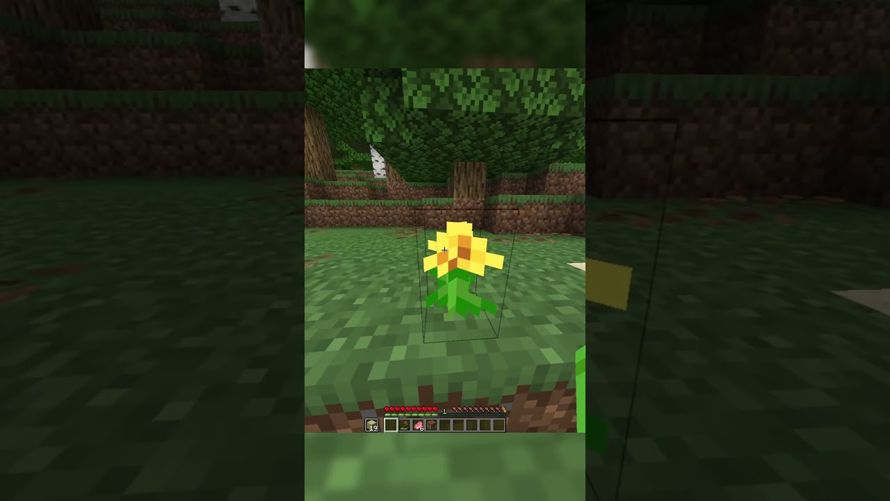 Speedrunning A Random Item...