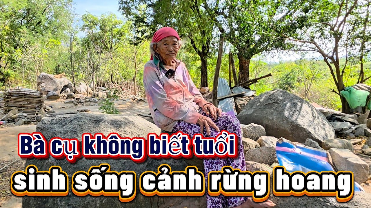 Cuộc sống NGHÈO KHÓ vùng cao BÀ CỤ lủi thủi một mình giữa rừng || 530