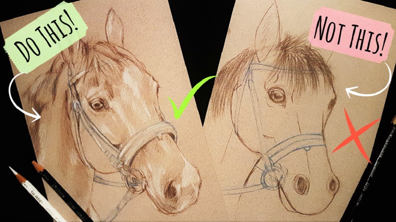 Sketching Animals: How To Draw a Realistic Horse
