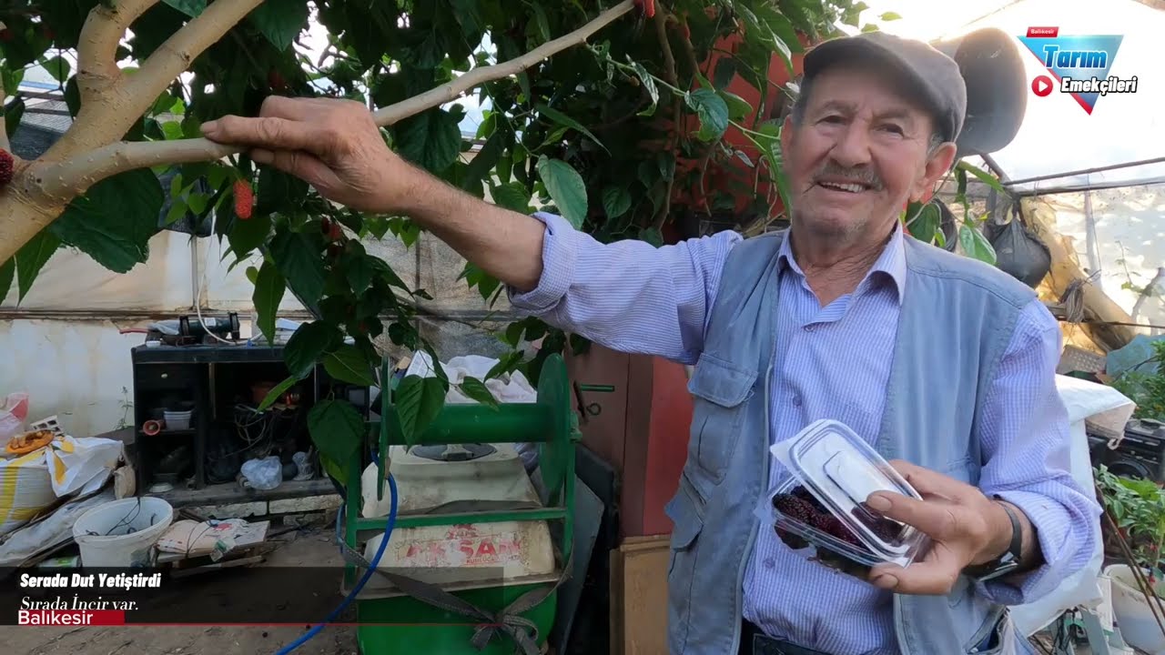 SERADA dut. turkish daily life