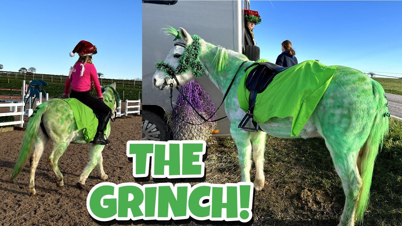 TURNING MY PONY INTO THE GRINCH? - CHRISTMAS SHOWJUMPING VLOG