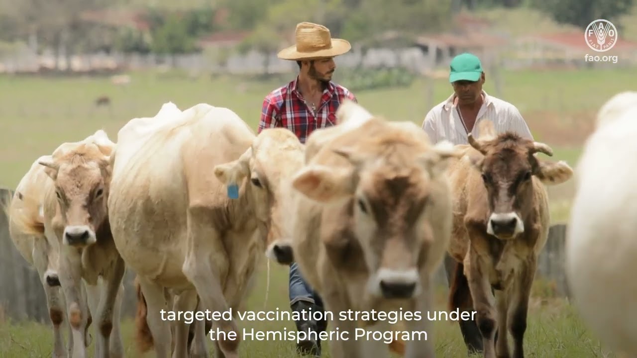 The power of vaccines in animal health