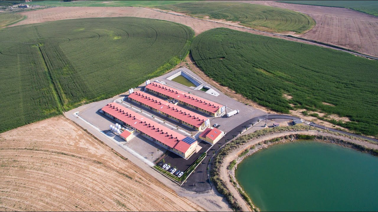 Granja 5.0.