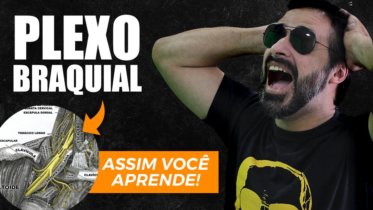 PLEXO BRAQUIAL: PARTE CLÍNICA, APRENDA DE UMA VEZ POR TODAS!