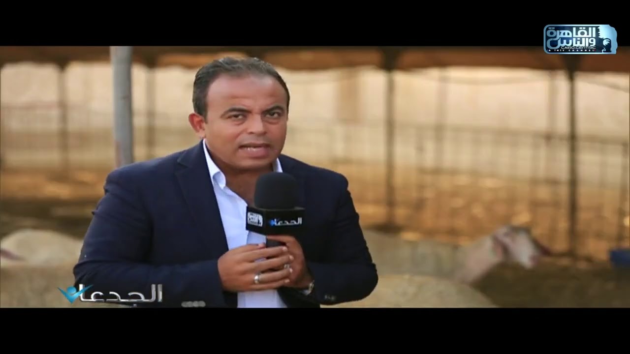الجدعان فى اضخم مزارع ماعز البور والسنن والشامى وخراف العساف بطريق الاسكندرية الصحراوى
