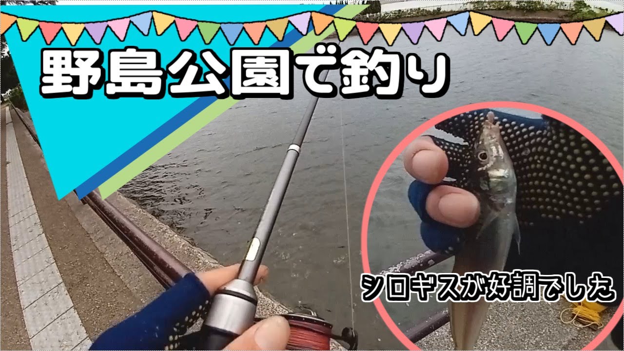 野島公園で釣り【2025年8月初旬】