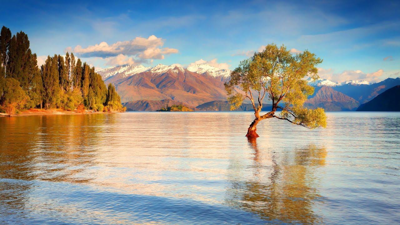 Magical New Zealand