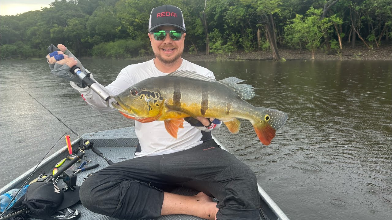 Pescaria Rio Jatapu, muuta chuva e ataques de tucunarés 🎣
