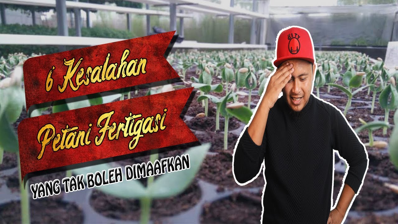 6 KESALAHAN PETANI FERTIGASI PEMULA | SERIUS PENTING!!