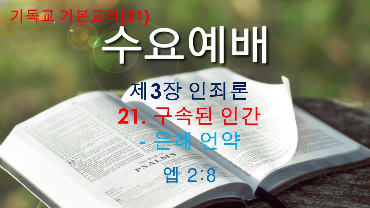 기독교 기본교리(21)- 제3장 구속된 인간(은혜 언약)