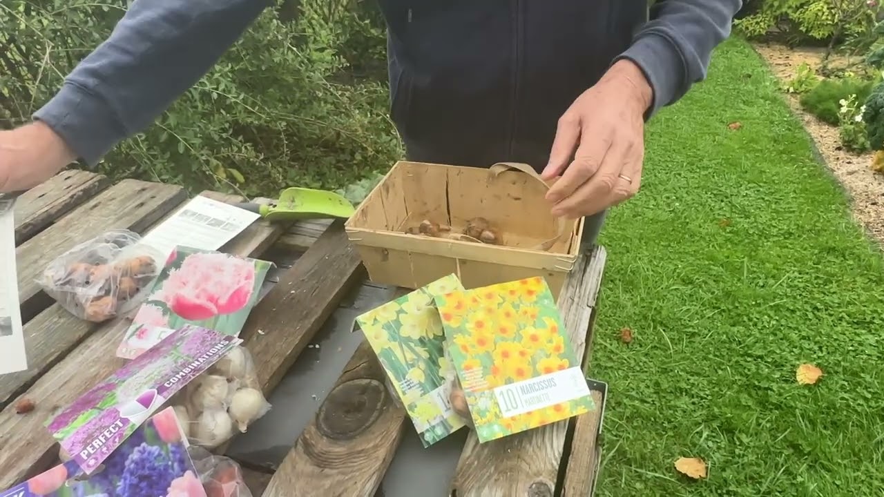 Les bulbes &agrave; floraison printani&egrave;re