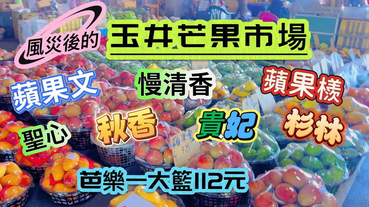 颱風過境後的【#玉井芒果 】價格＃檨阿尾卡贏呷甜粿｜七月底還有哪些芒果|#芭樂太便宜了！芒果季尾聲Taiwan Mango