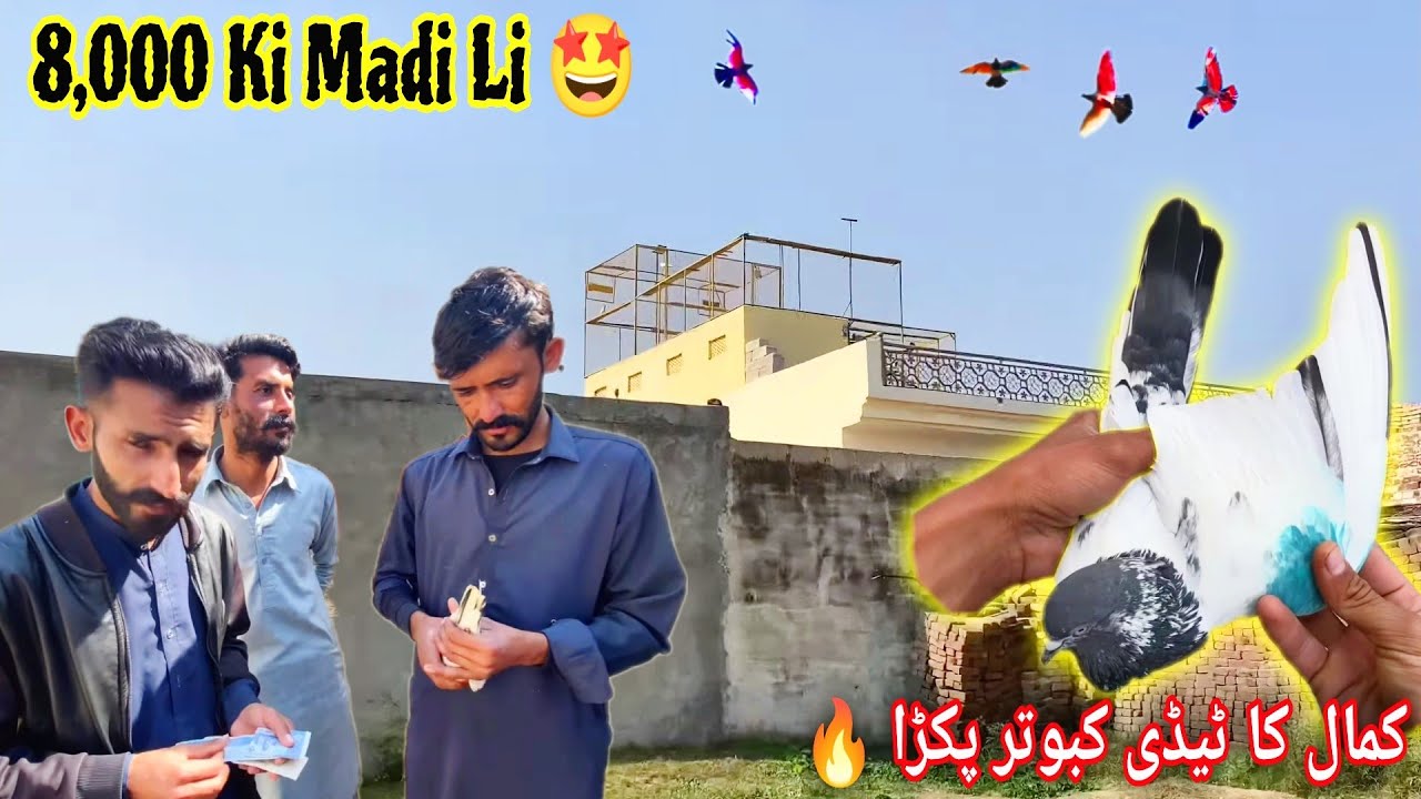 Mohar Me Pakri Madi 8,000 Ki Li 😍