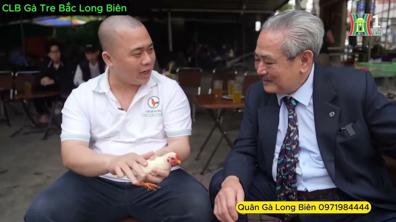 Thú Chơi Gà Tre Bắc Người Hà Nội