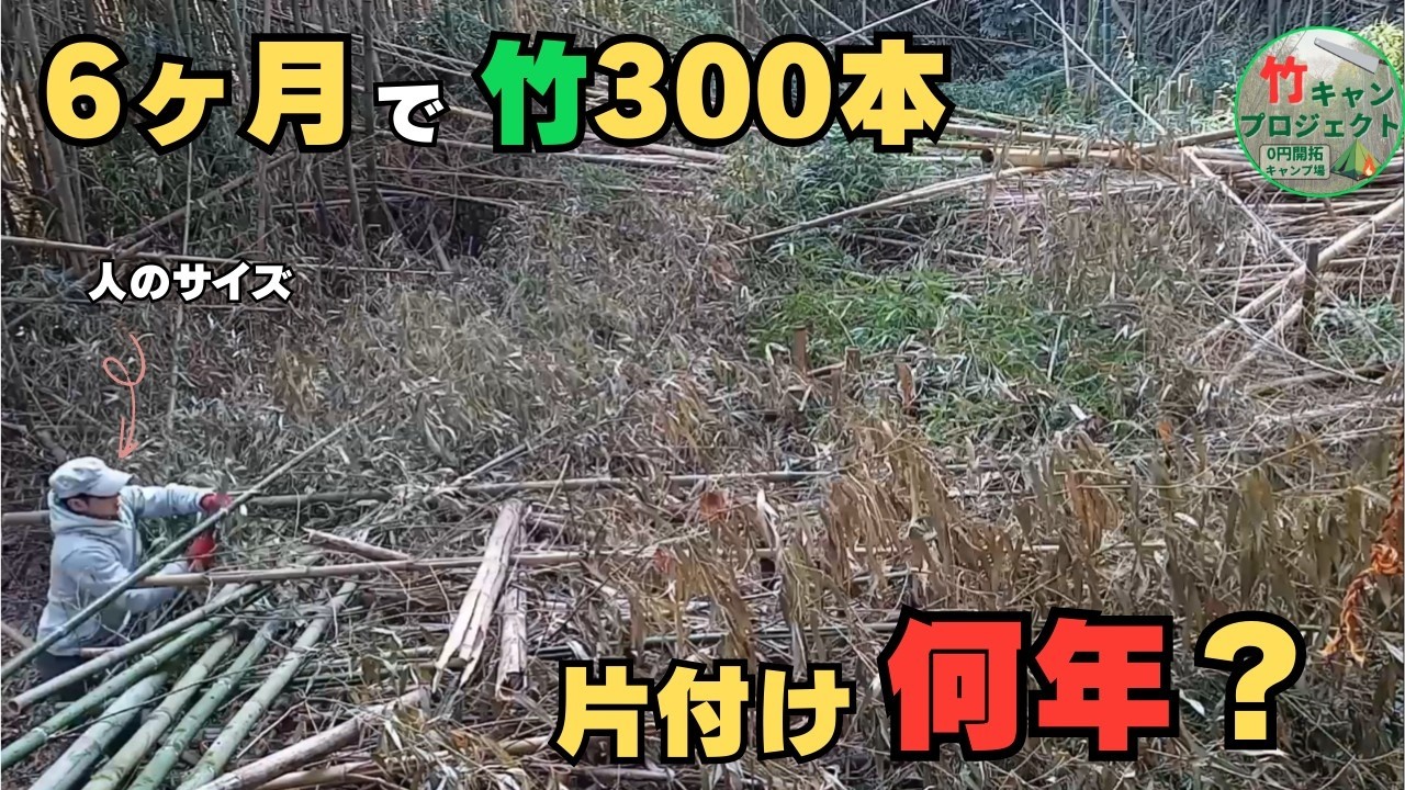 ６か月で竹を３００本伐採、片付けに何年かかる？