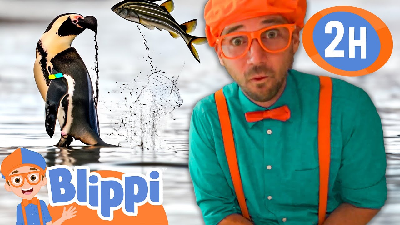 Blippi Learns About Animals At Ody Aquarium | Blippi and Meekah Best Friend Adventures | Educational