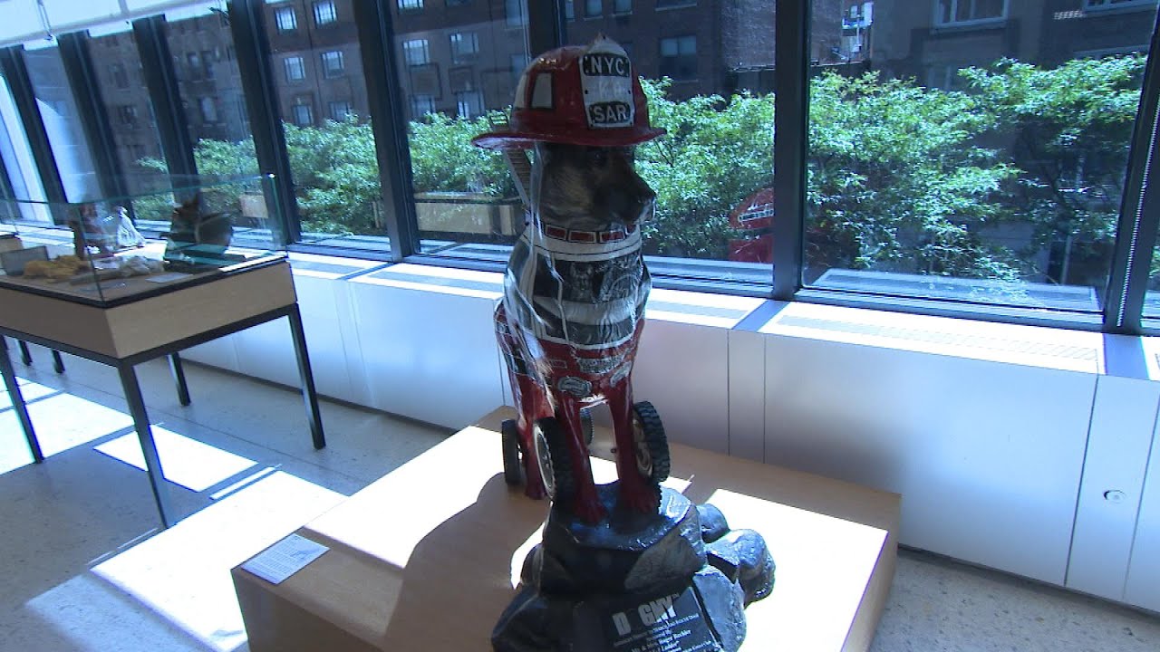 Museum Exhibit Honors Search and Rescue Dogs of 9/11