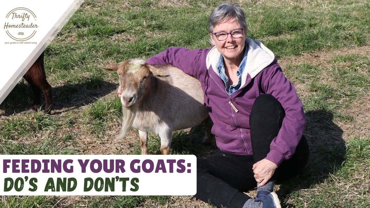 Pasture, Hay, or Grain? What They Really Need