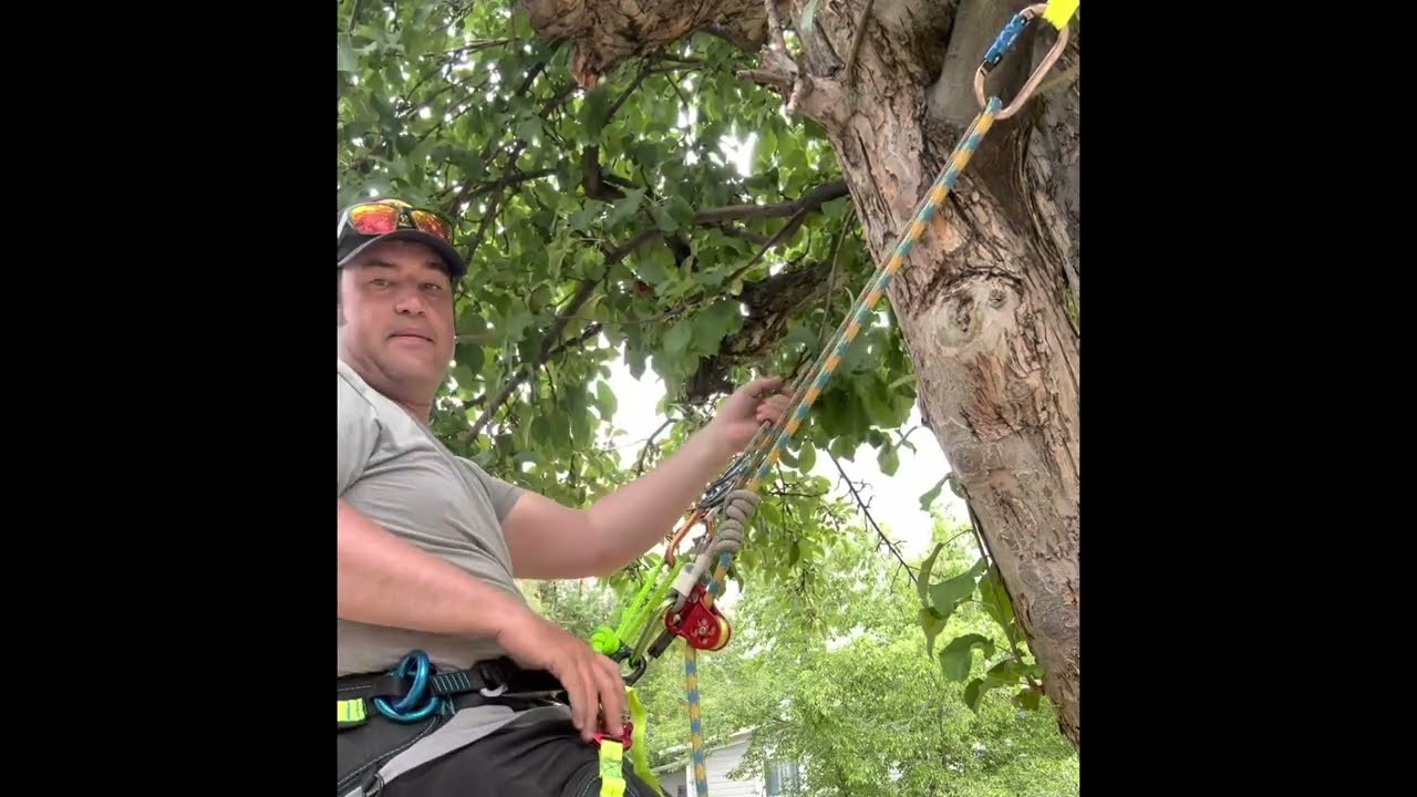 Tree climbing SRS V RIG WORK POSITIONING