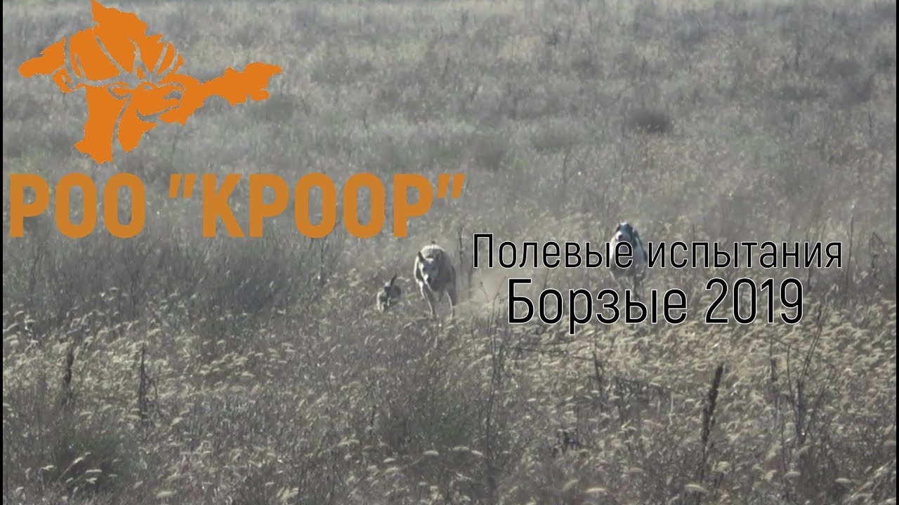РОО 