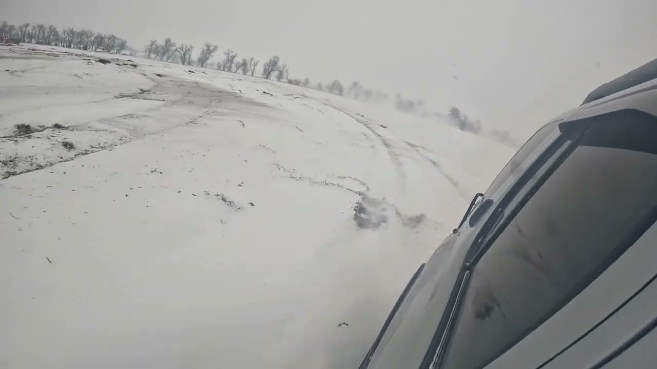 Snow day with the gang 
