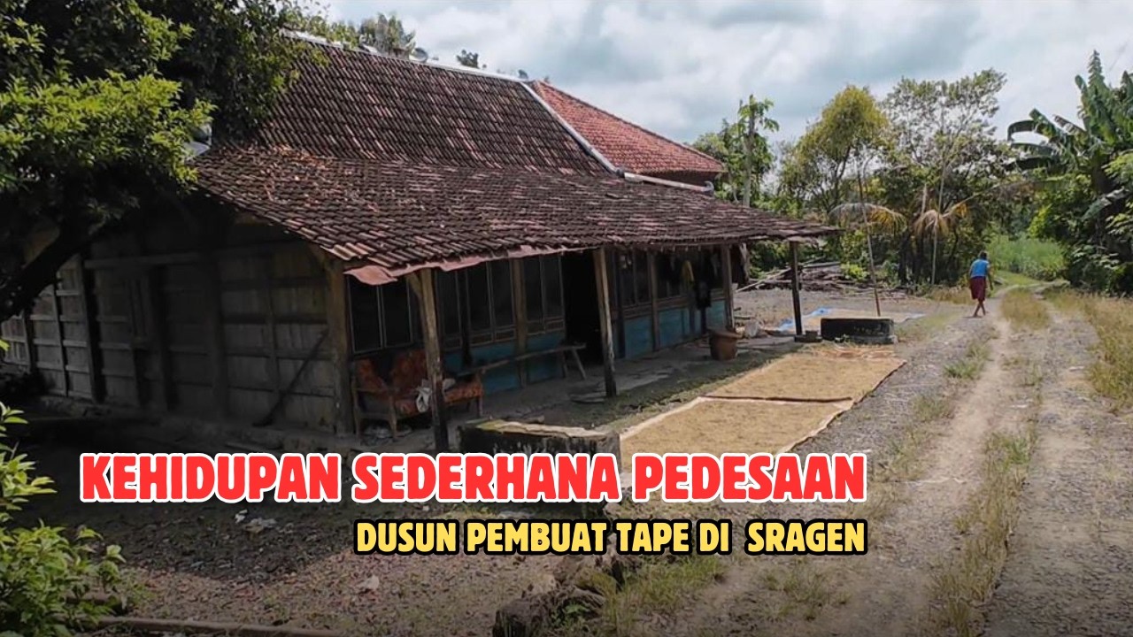 KEHIDUPAN PEDESAAN DI PEDALAMAN SRAGEN JAWA TENGAH