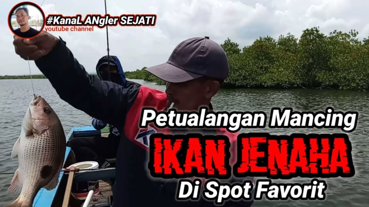 PETUALANGAN MANCING DI SPOT || IKAN JENAHA || IKAN TOMPEL BABON || DI MUARA ALUR DUA LANGSA