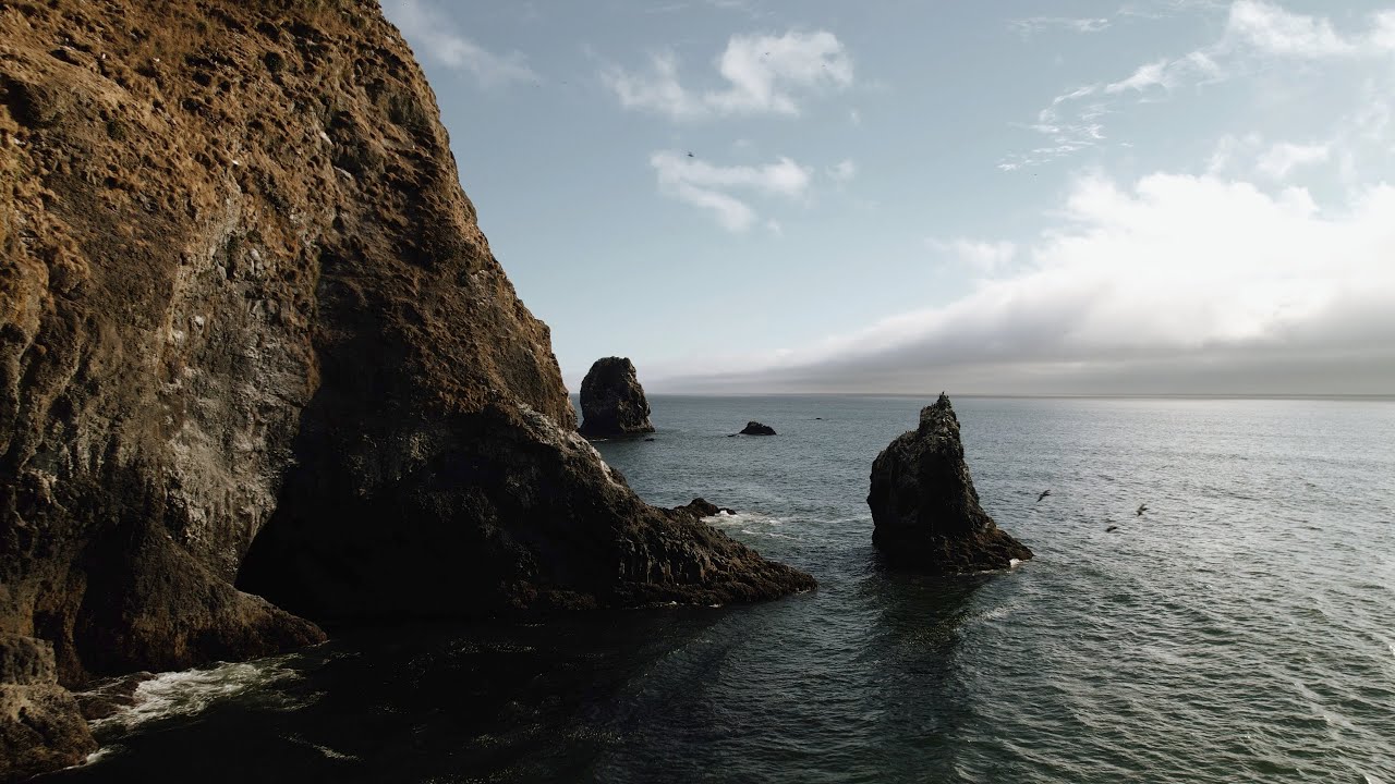 Cannon Beach Maternity / Pregnancy Announcement Film