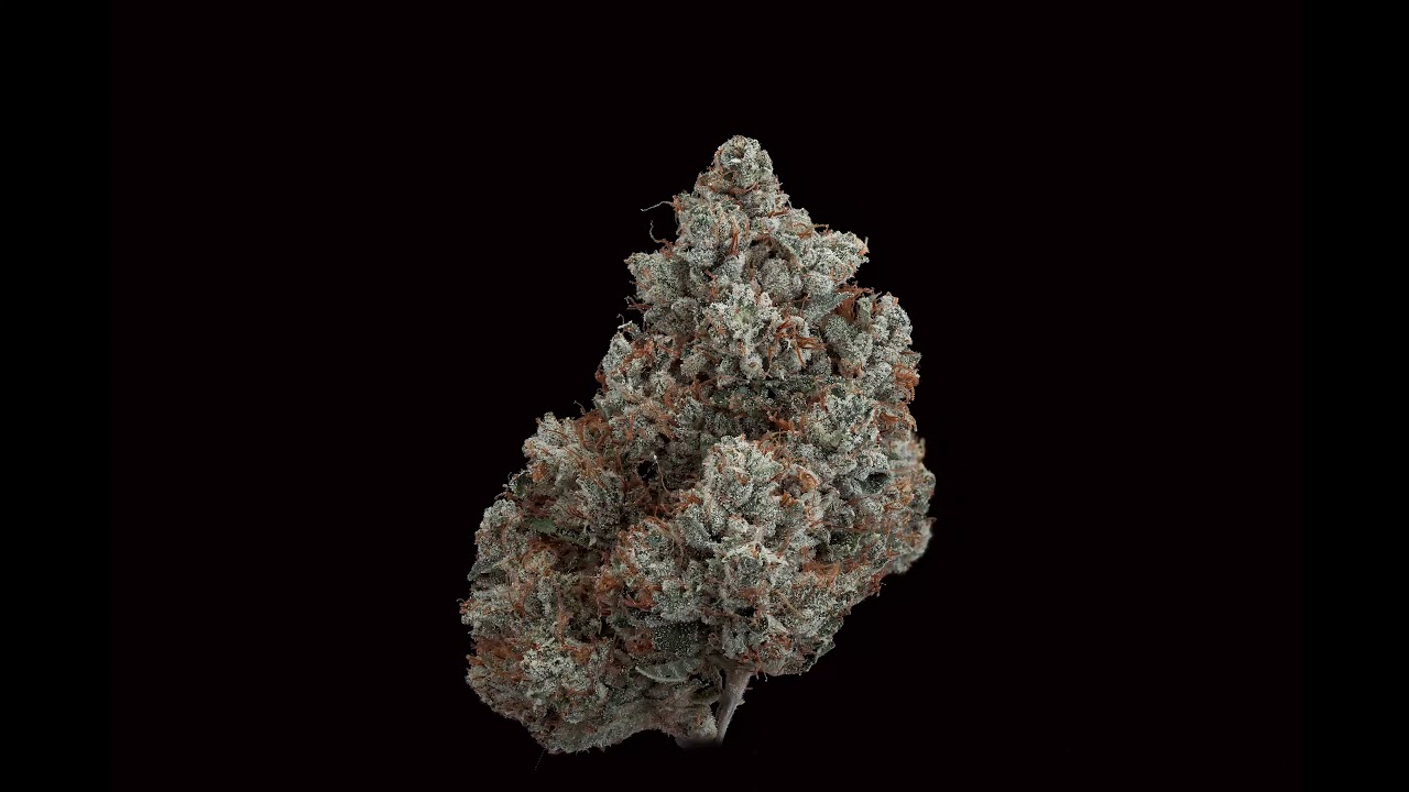 Kush Co OG