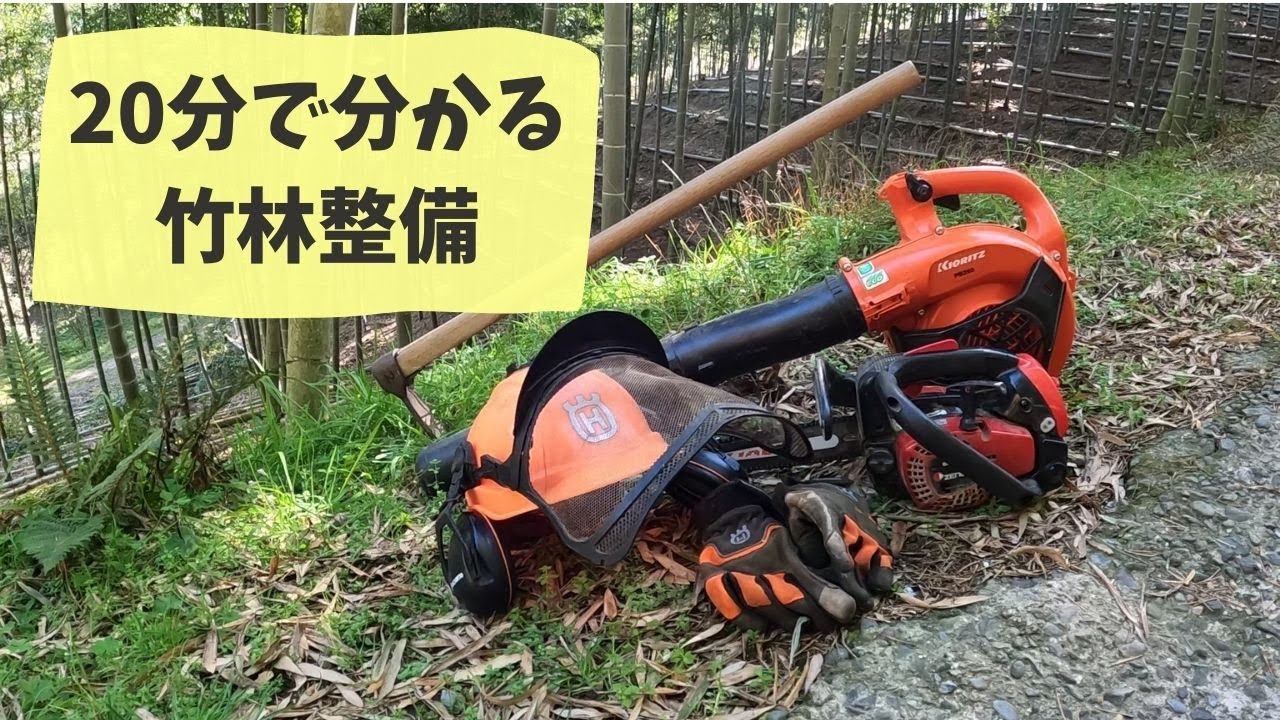 20分で分かる竹林整備
