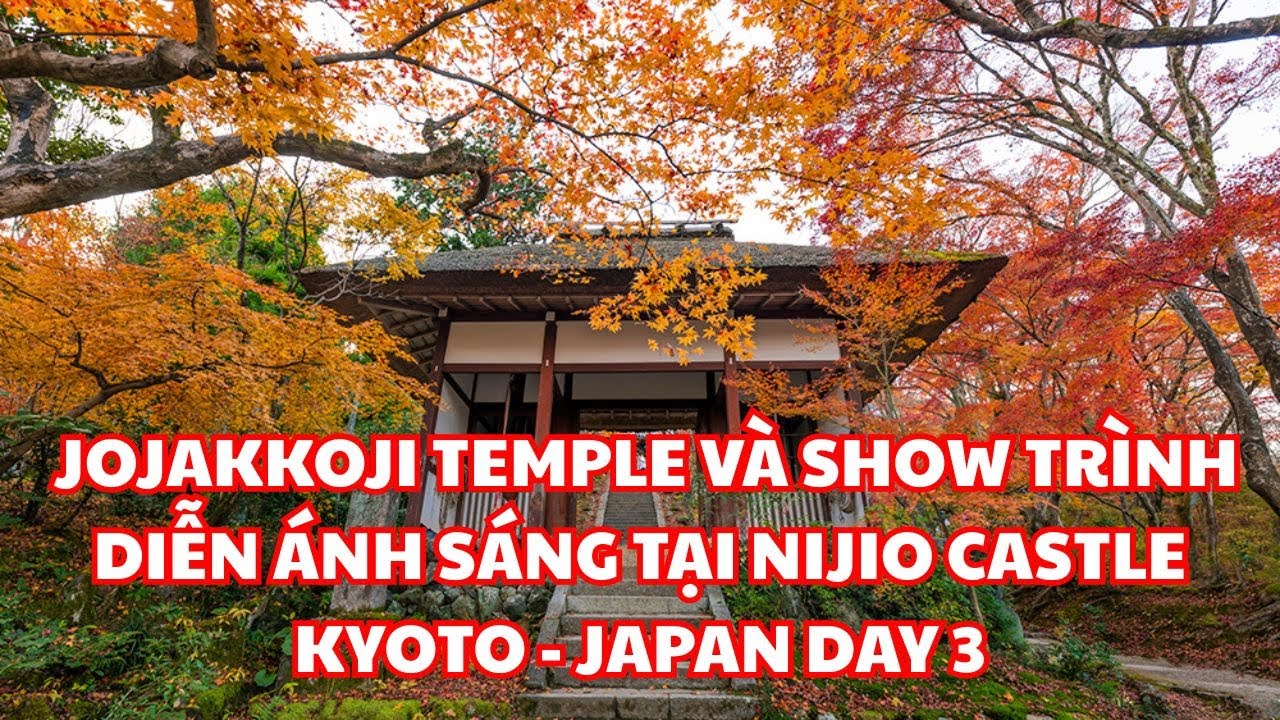 jojakkoji Temple v&agrave; show tr&igrave;nh diễn &aacute;nh s&aacute;ng tại Nijio Castle Kyoto - Japan Day 3
