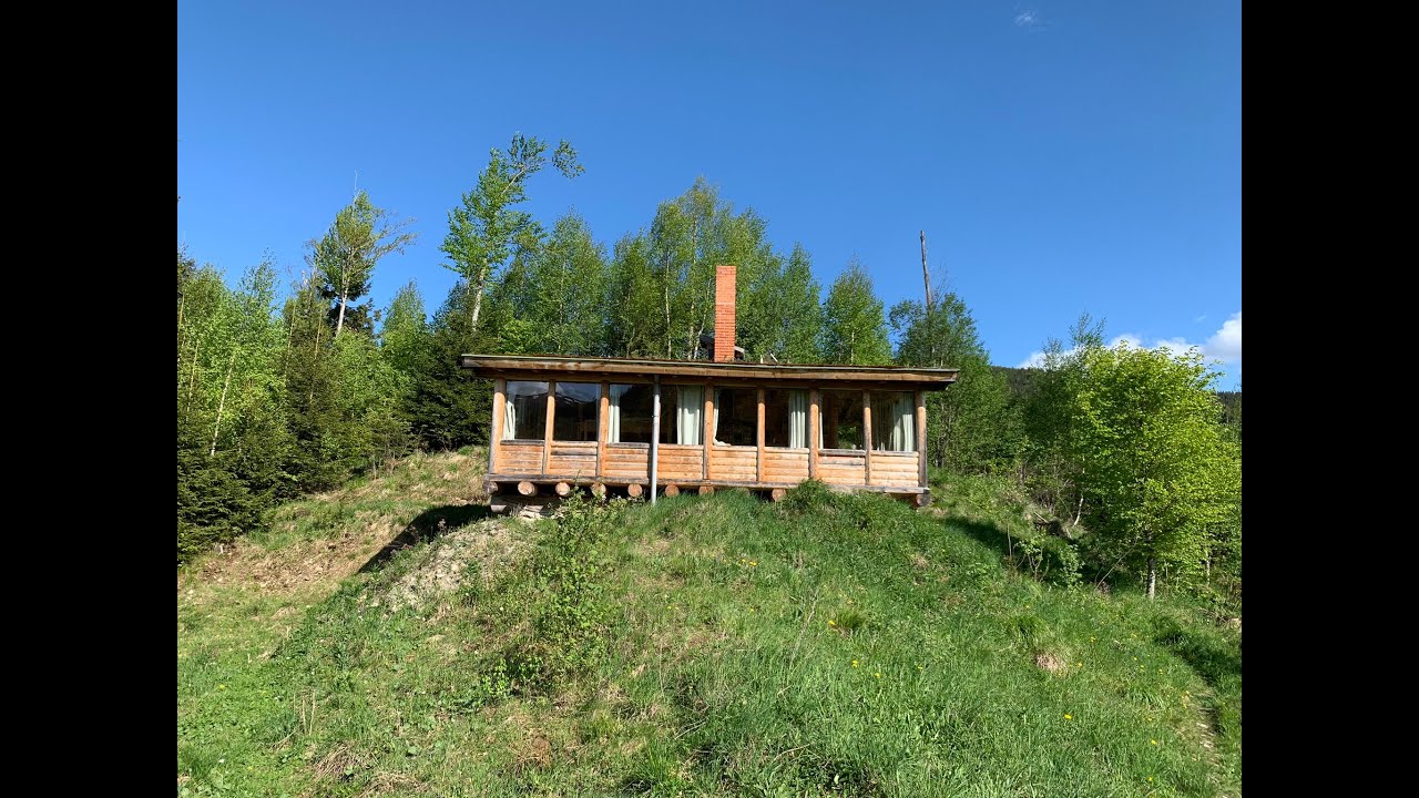 Bear Watching in Romania 2022