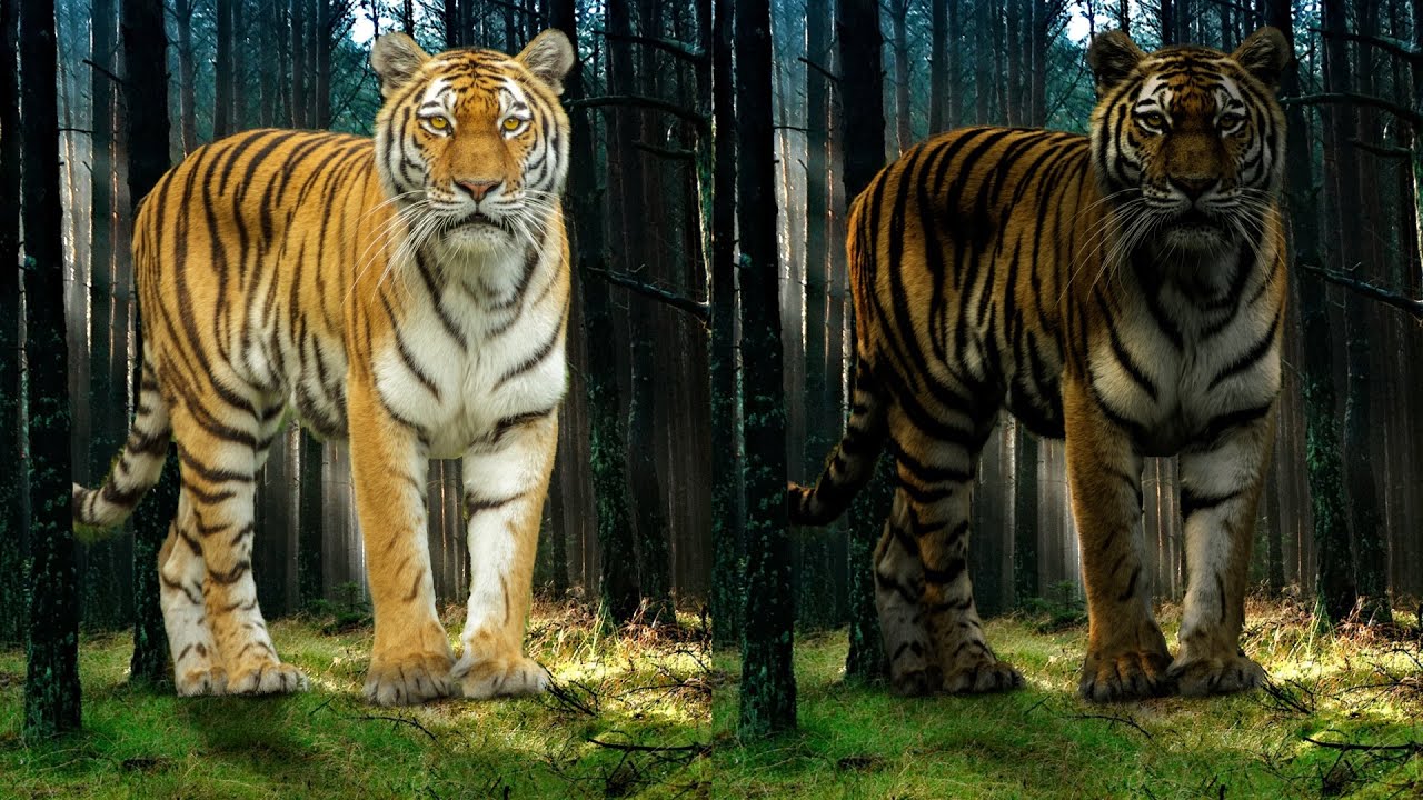 How to Paint Light and Shadow in GIMP