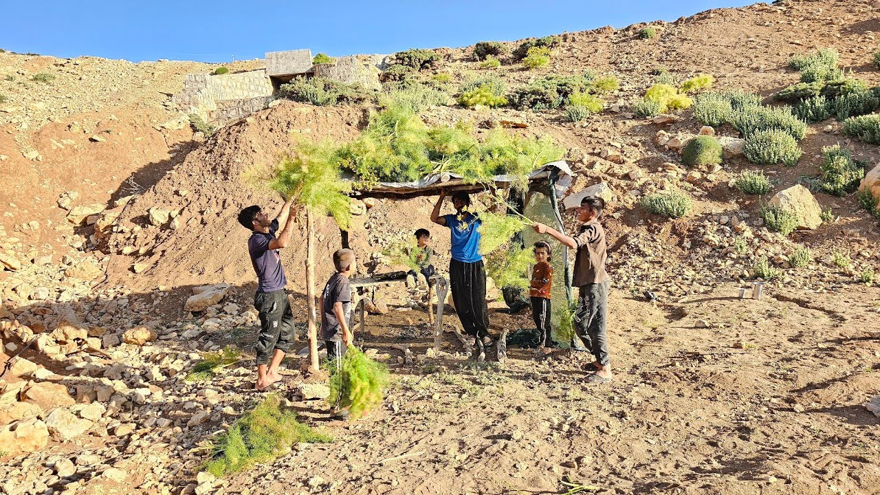 Nomadic life in the mountains: A family's attempt to build a shelter without facilities