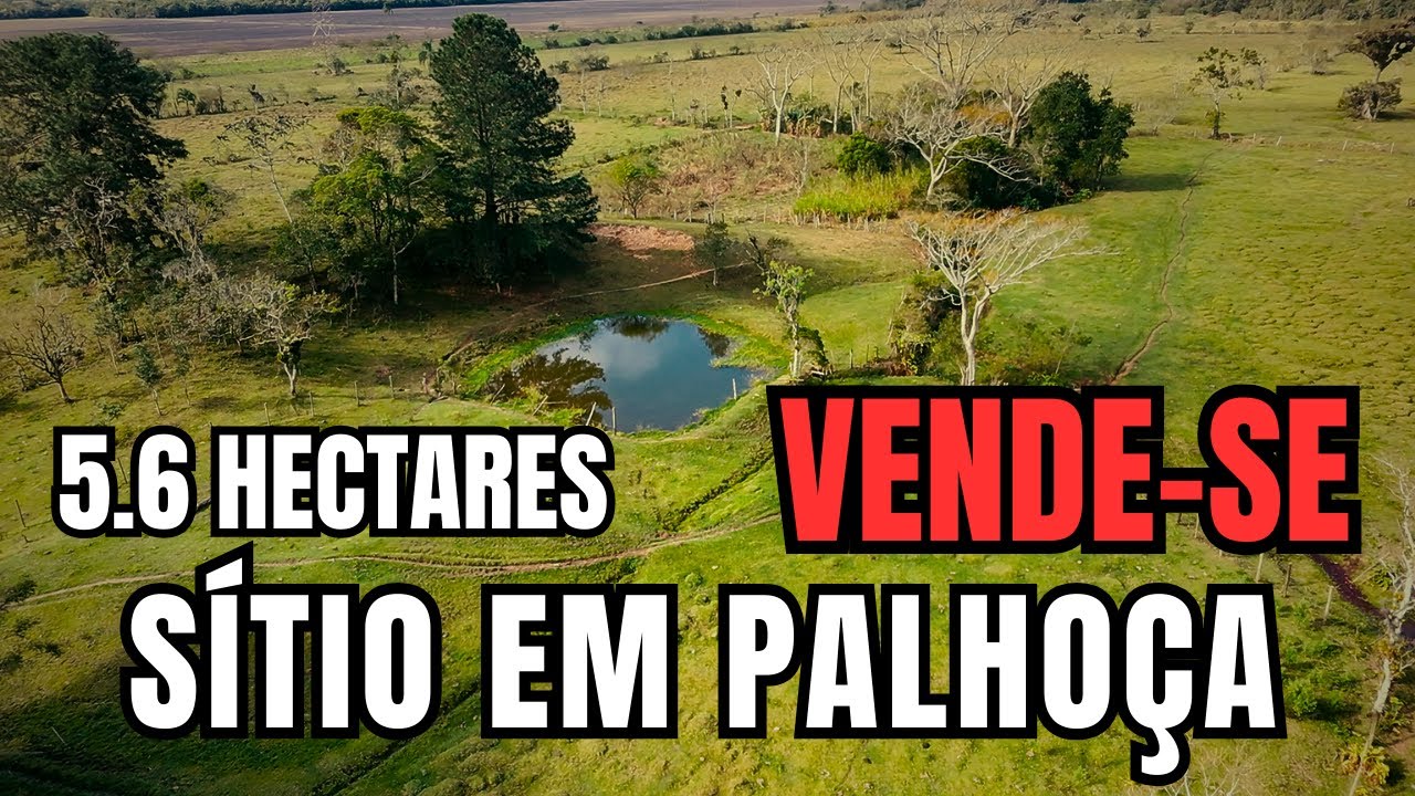 SÍTIO COM 5.6 HECTARES TOTALMENTE PLANO EM PALHOÇA - SC, MACIAMBU PEQUENO, PROXIMO A GUARDA DO EMBAU