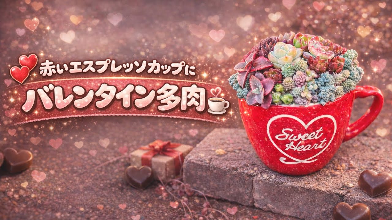 赤いエスプレッソカップに、バレンタイン多肉💝🍫✨